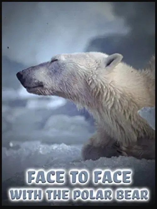 Face to Face with the Polar Bear movie poster