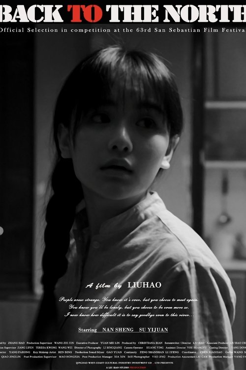 Back to the North movie poster