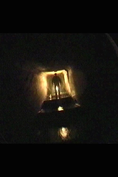 Poster do filme Understory