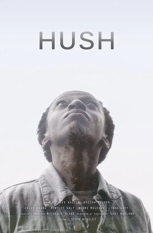 Hush movie poster