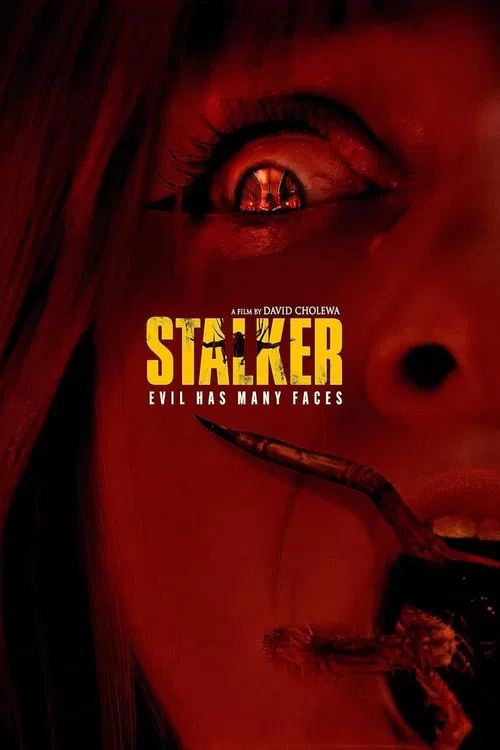 Stalker movie poster