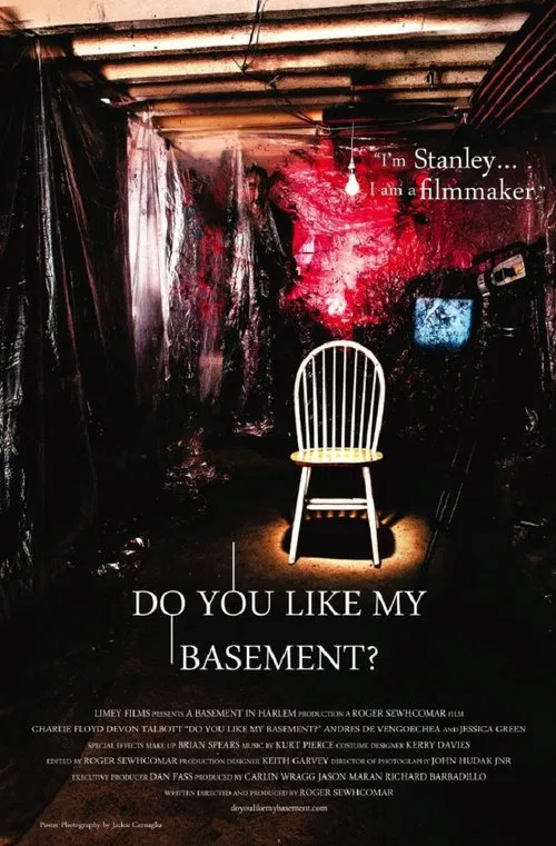 Do You Like My Basement? movie poster