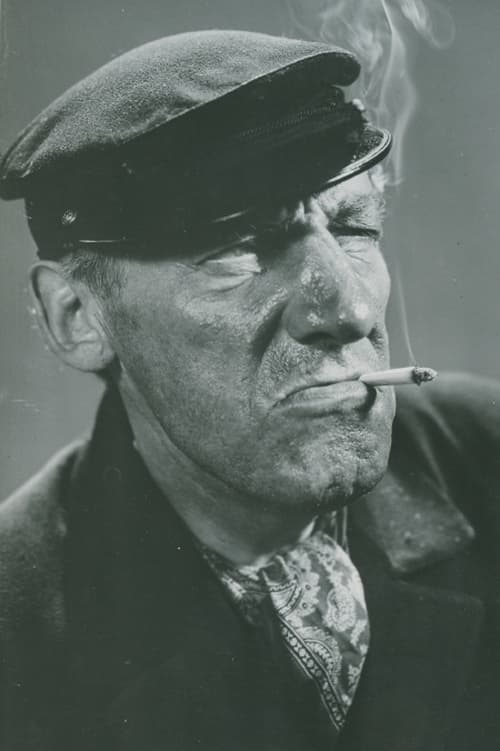 Emil Fjellström profile picture