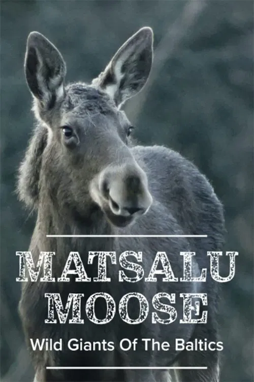 Matsalu Moose: Wild Giants of the Baltics movie poster