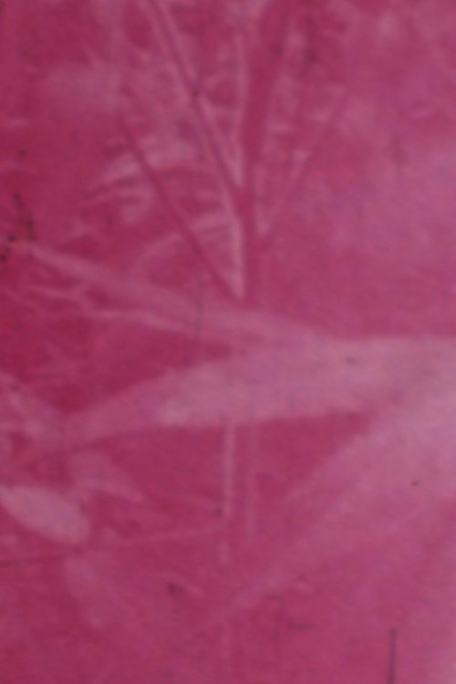 Poster do filme Ornamentals