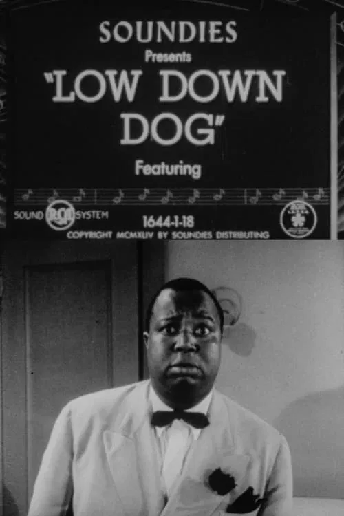 Low Down Dog movie poster