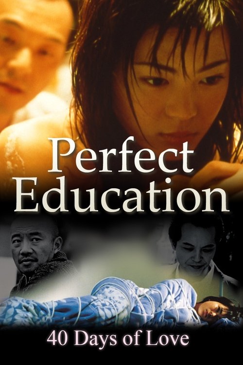 Perfect Education: 40 Days of Love movie poster