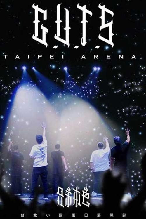 兄弟本色：台北小巨蛋日落黑趴演唱會 movie poster