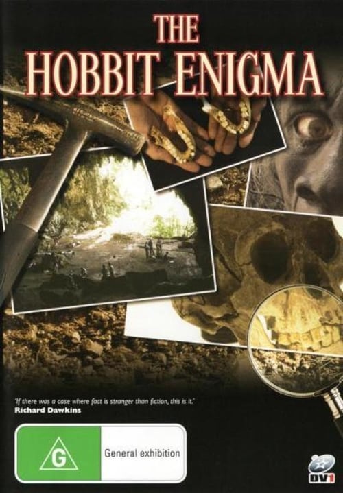 The Hobbit Enigma movie poster