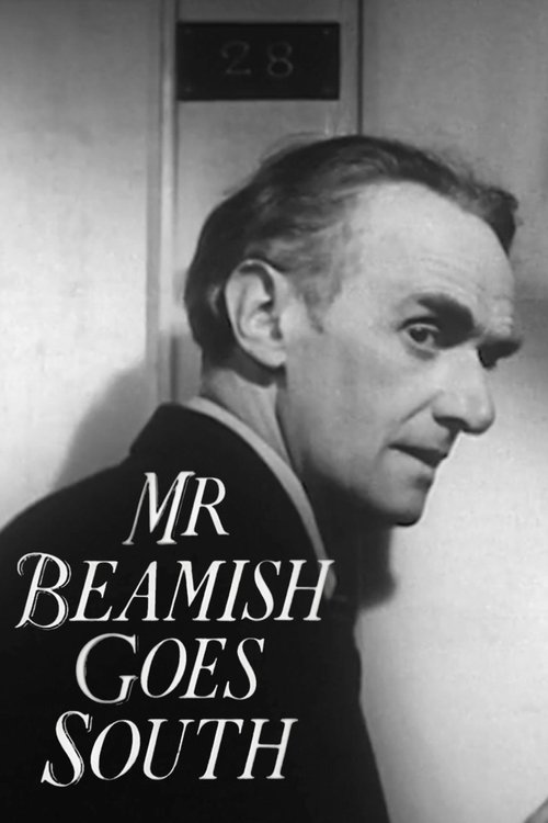 Poster do filme Mr Beamish Goes South
