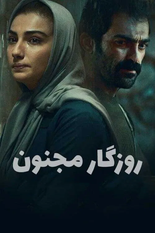 Crazy times movie poster