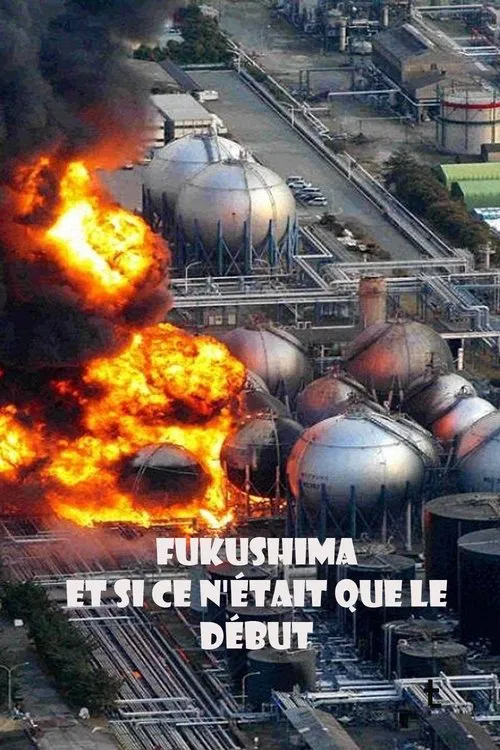 Fukushima: Is Nuclear Power Safe? movie poster