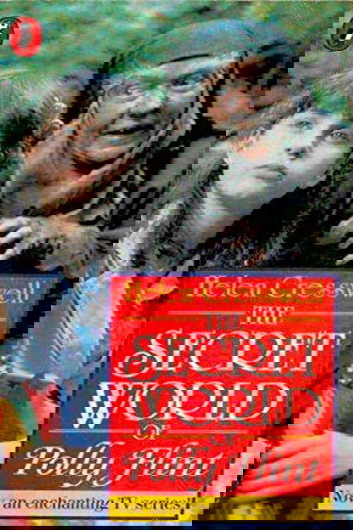 The Secret World of Polly Flint movie poster