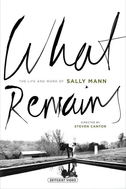 Poster do filme What Remains