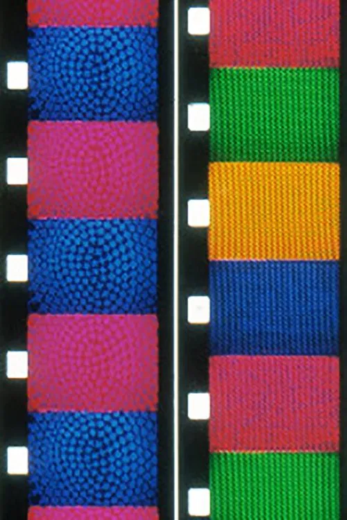 Patterns of Interference movie poster