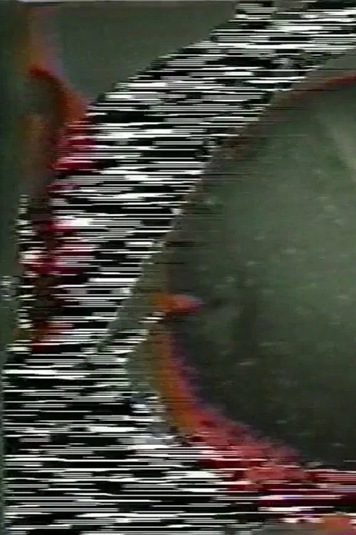 Soundgated Images movie poster