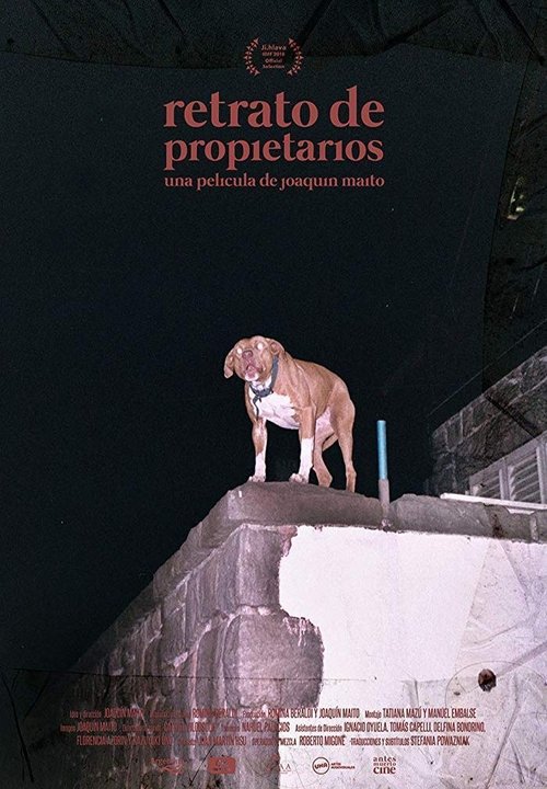 Owner's Portrait movie poster
