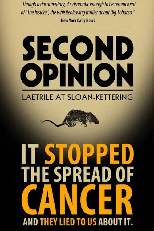 Second Opinion movie poster