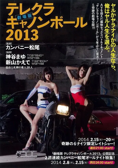 The Sex Cannon Ball Run 2013 movie poster