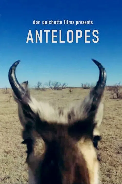 Antelopes movie poster