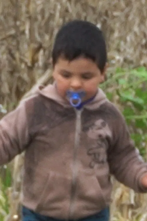 Pedro Bueno Picollo profile picture