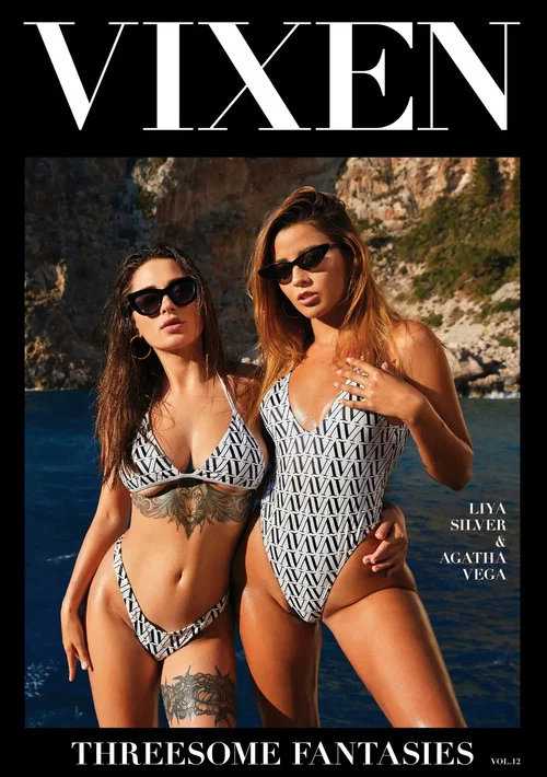 Threesome Fantasies 12 movie poster