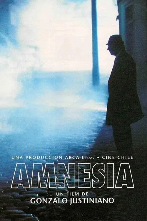 Amnesia movie poster