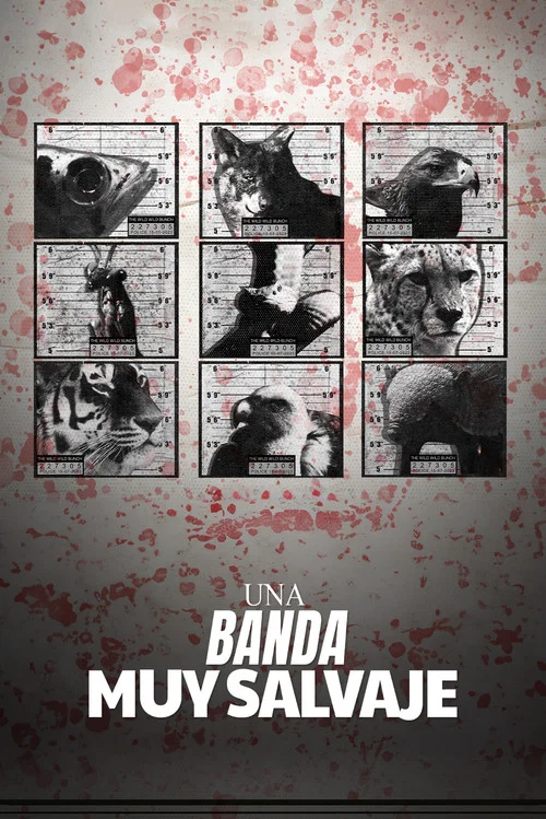 The Wild Wild Bunch tv show poster