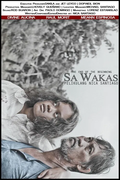 Poster do filme The End of the Beginning
