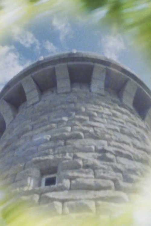 Poster do filme Like a Lighthouse