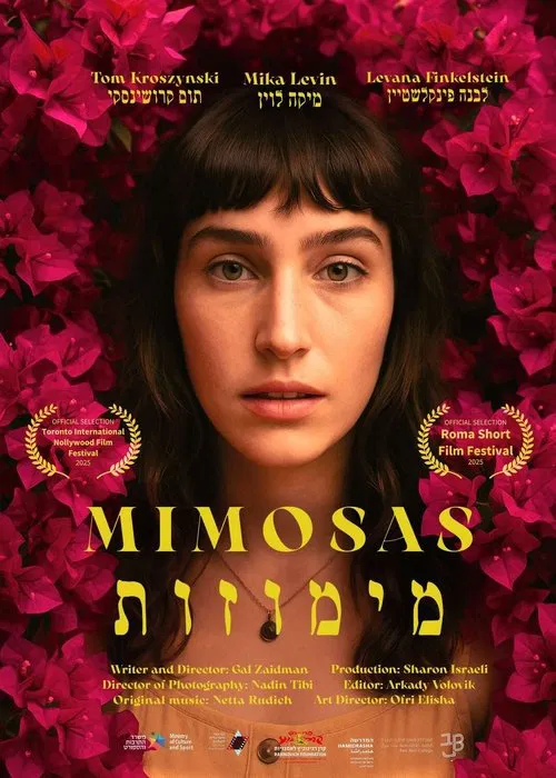 Mimosas movie poster