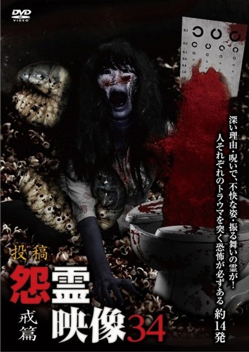Posted Grudge Spirit Footage Vol.34: Warning Edition movie poster