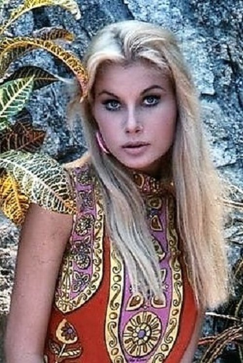 Alena Johnston profile picture