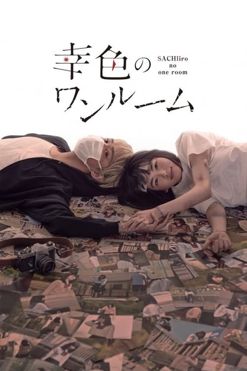 A Little Room for Hope tv show poster