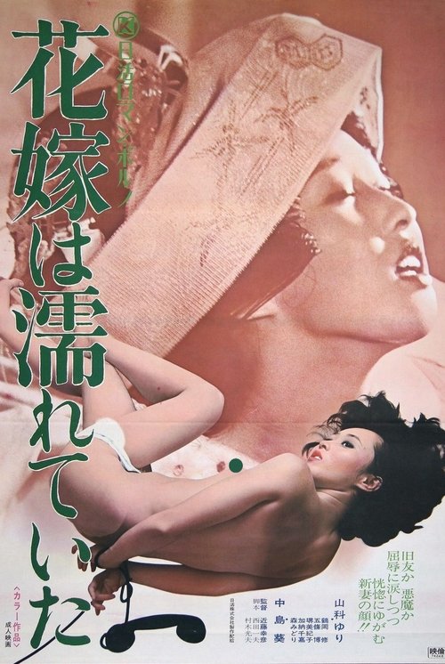 Poster do filme The Bride was Wet
