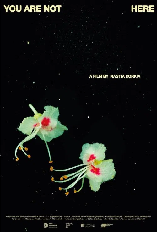 You are not here movie poster