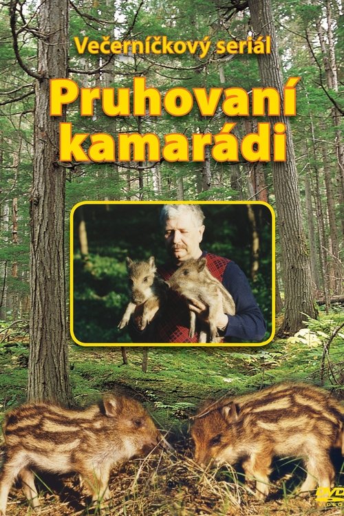 Pruhovaní kamarádi tv show poster