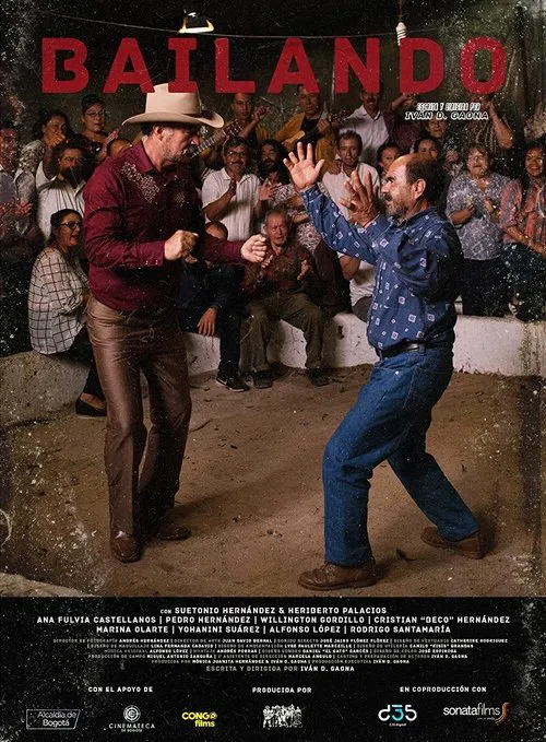 Bailando movie poster