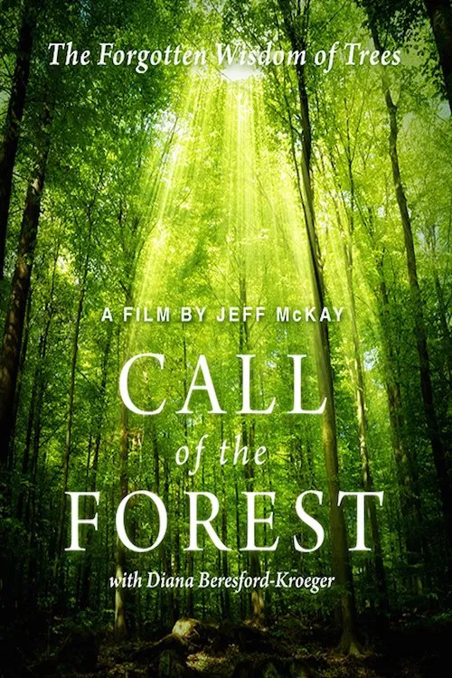 Call of the Forest: The Forgotten Wisdom of Trees movie poster