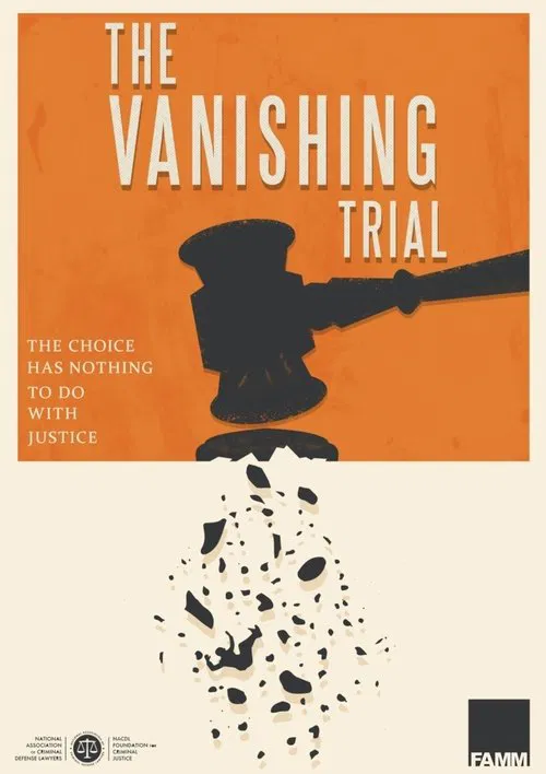 The Vanishing Trial movie poster