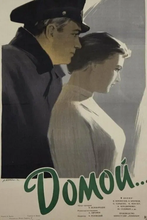 Home movie poster