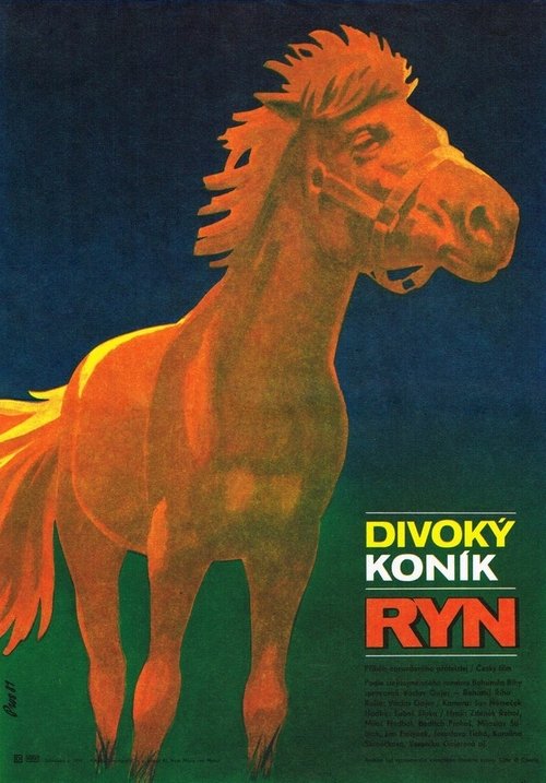 Divoký koník Ryn movie poster