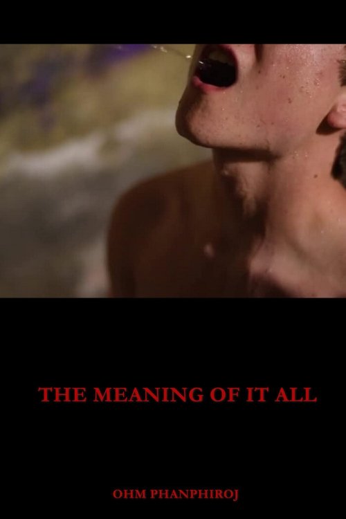 The Meaning of It All movie poster