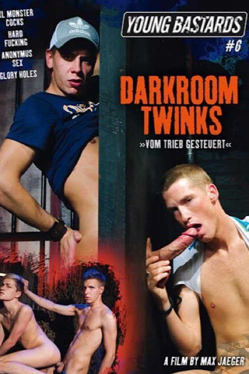 Young Bastards 6: Darkroom Twinks movie poster