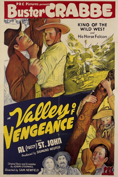 Valley Of Vengeance movie poster
