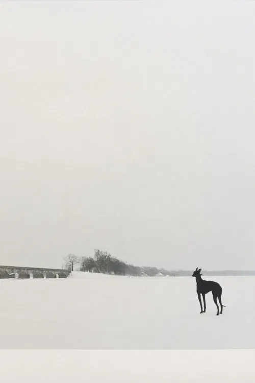 The Spring movie poster