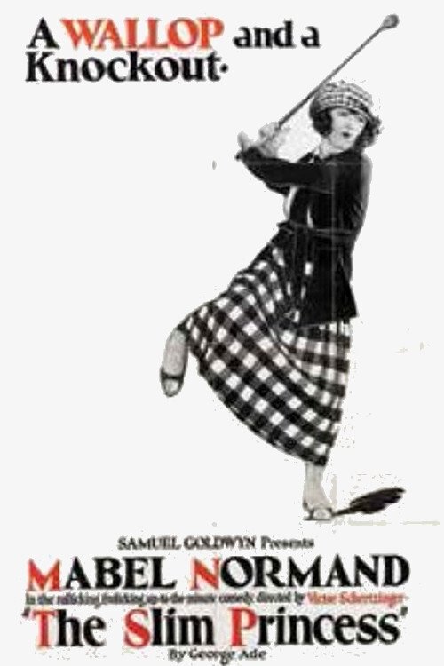 Poster do filme The Slim Princess