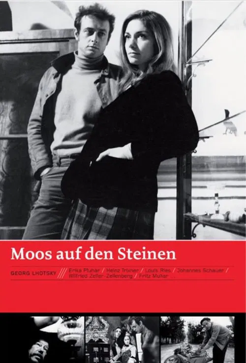 Poster do filme Moss on the Stones