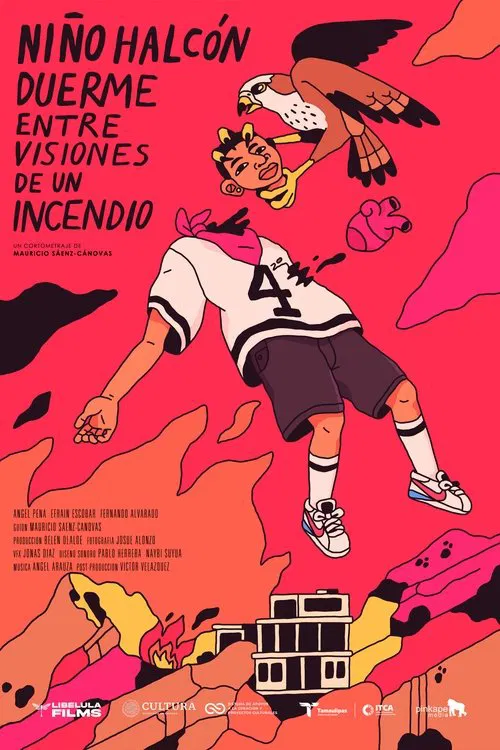Hawk Boy Sleeps Amidst Visions of a Fire movie poster