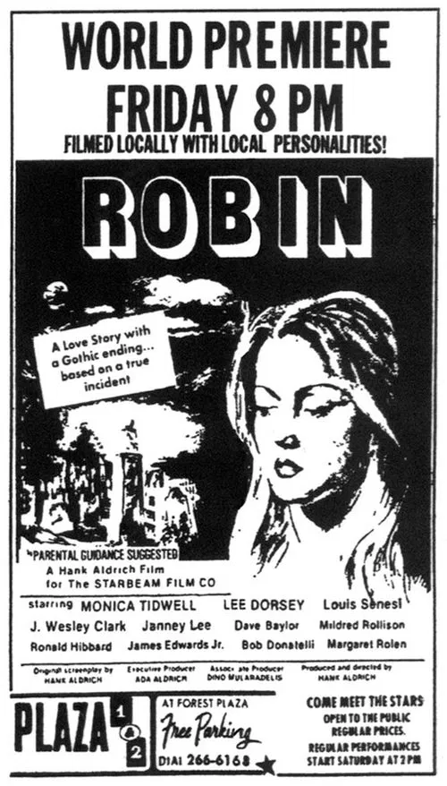 Robin movie poster